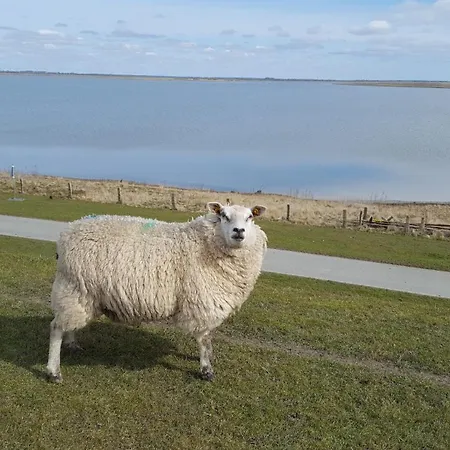 Haus Michel بيت للعطل نوردستراند