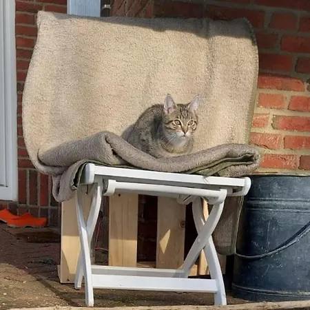 بيت للعطل Haus Michel